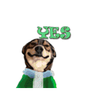 Dooby Dogy（個別スタンプ：39）
