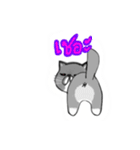 A cat named Solar（個別スタンプ：6）