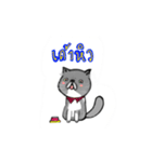 A cat named Solar（個別スタンプ：7）