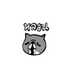 A cat named Solar（個別スタンプ：13）