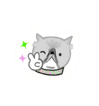 A cat named Solar（個別スタンプ：15）