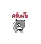 A cat named Solar（個別スタンプ：17）