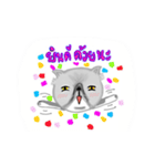 A cat named Solar（個別スタンプ：21）