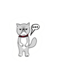 A cat named Solar（個別スタンプ：22）