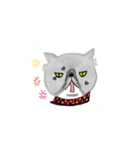 A cat named Solar（個別スタンプ：26）