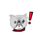 A cat named Solar（個別スタンプ：28）
