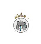 A cat named Solar（個別スタンプ：31）