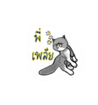 A cat named Solar（個別スタンプ：32）