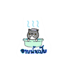 A cat named Solar（個別スタンプ：40）