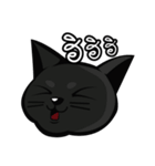 Black cat's just a black cat（個別スタンプ：15）