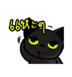 Black cat's just a black cat（個別スタンプ：16）