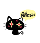 black cats（個別スタンプ：10）