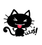 black cats（個別スタンプ：12）