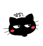 black cats（個別スタンプ：24）