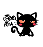 black cats（個別スタンプ：26）