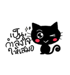 black cats（個別スタンプ：40）