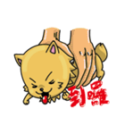 Chihuahua-Mushroom(2)（個別スタンプ：15）