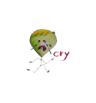 balloon family（個別スタンプ：22）