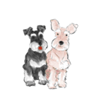 Schnauzer Lovers - Salt and Pepper（個別スタンプ：40）