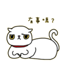 Mimi's daily live（個別スタンプ：1）
