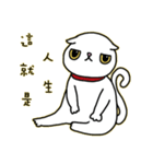 Mimi's daily live（個別スタンプ：2）