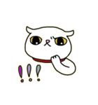 Mimi's daily live（個別スタンプ：3）