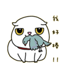 Mimi's daily live（個別スタンプ：8）