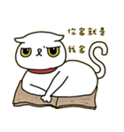 Mimi's daily live（個別スタンプ：11）