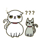 Mimi's daily live（個別スタンプ：20）