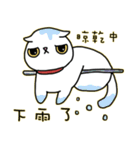 Mimi's daily live（個別スタンプ：22）