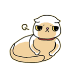 Mimi's daily live（個別スタンプ：23）