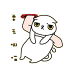 Mimi's daily live（個別スタンプ：26）