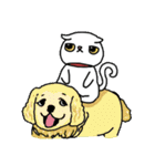 Mimi's daily live（個別スタンプ：34）