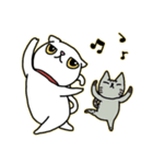 Mimi's daily live（個別スタンプ：36）