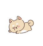 Baby shiba 'Bubu'（個別スタンプ：3）