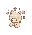 Baby shiba 'Bubu'（個別スタンプ：14）