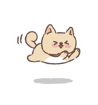 Baby shiba 'Bubu'（個別スタンプ：16）