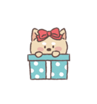 Baby shiba 'Bubu'（個別スタンプ：21）