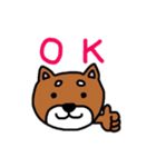 まいにち柴さん（個別スタンプ：1）