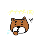 まいにち柴さん（個別スタンプ：3）