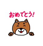 まいにち柴さん（個別スタンプ：4）