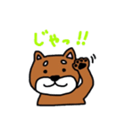 まいにち柴さん（個別スタンプ：6）