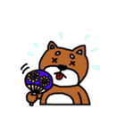 まいにち柴さん（個別スタンプ：10）
