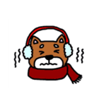 まいにち柴さん（個別スタンプ：11）