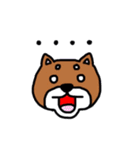 まいにち柴さん（個別スタンプ：13）