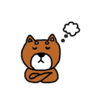 まいにち柴さん（個別スタンプ：15）