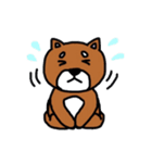 まいにち柴さん（個別スタンプ：16）