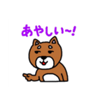 まいにち柴さん（個別スタンプ：17）