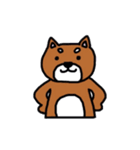 まいにち柴さん（個別スタンプ：20）