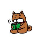 まいにち柴さん（個別スタンプ：22）